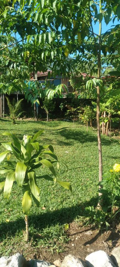 Karleta Homestay Ruteng Kültér fotó